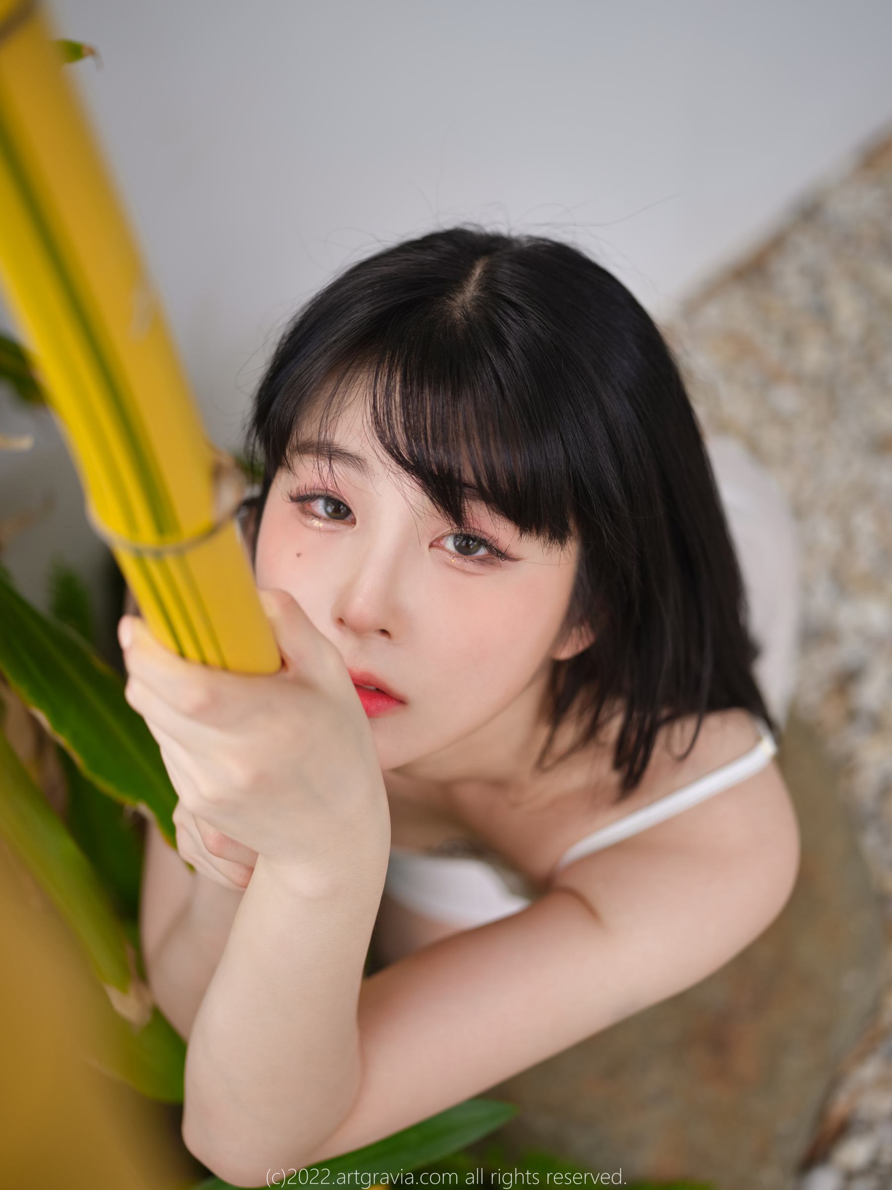 [ARTGRAVIA] VOL.454 JangJoo 日韩写真-第2张