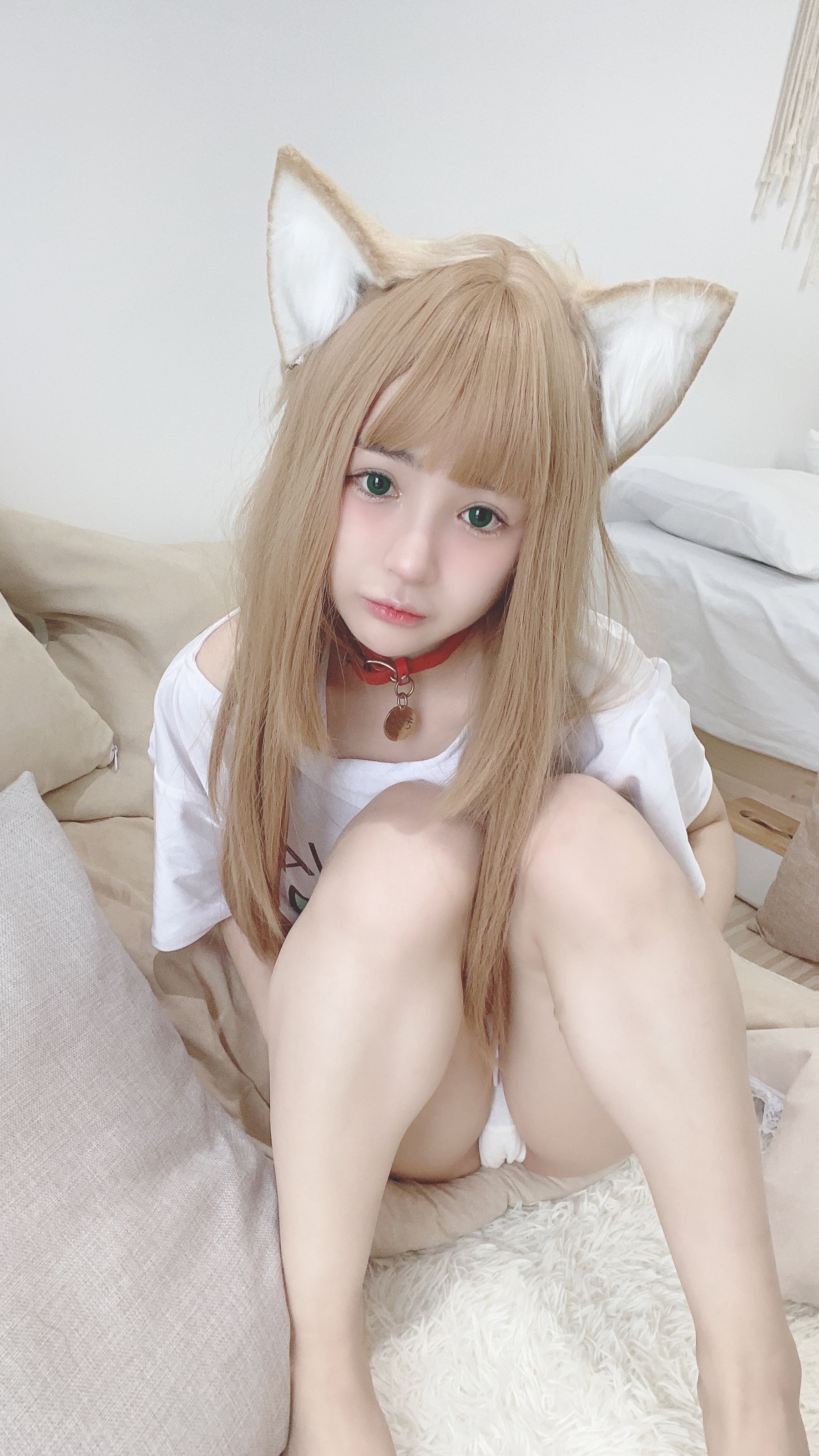 桜井宁宁 – 猫娘 Cosplay-第37张