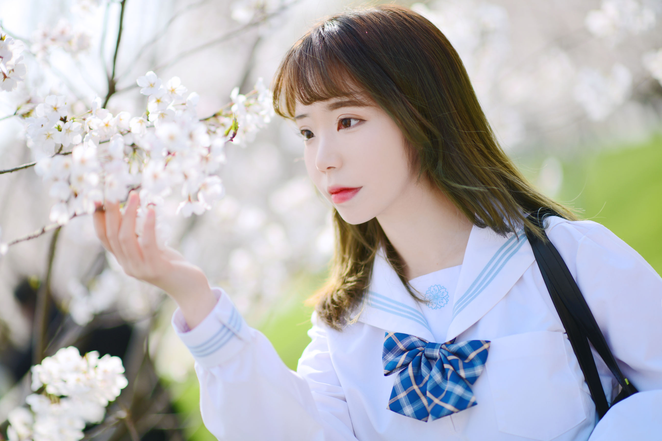 可爱妹子Fushii_海堂 – 樱花树下 Cosplay-第12张