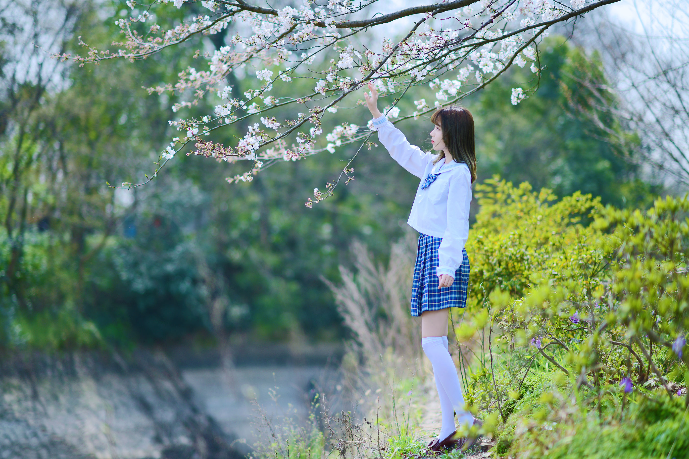 可爱妹子Fushii_海堂 – 樱花树下 Cosplay-第16张