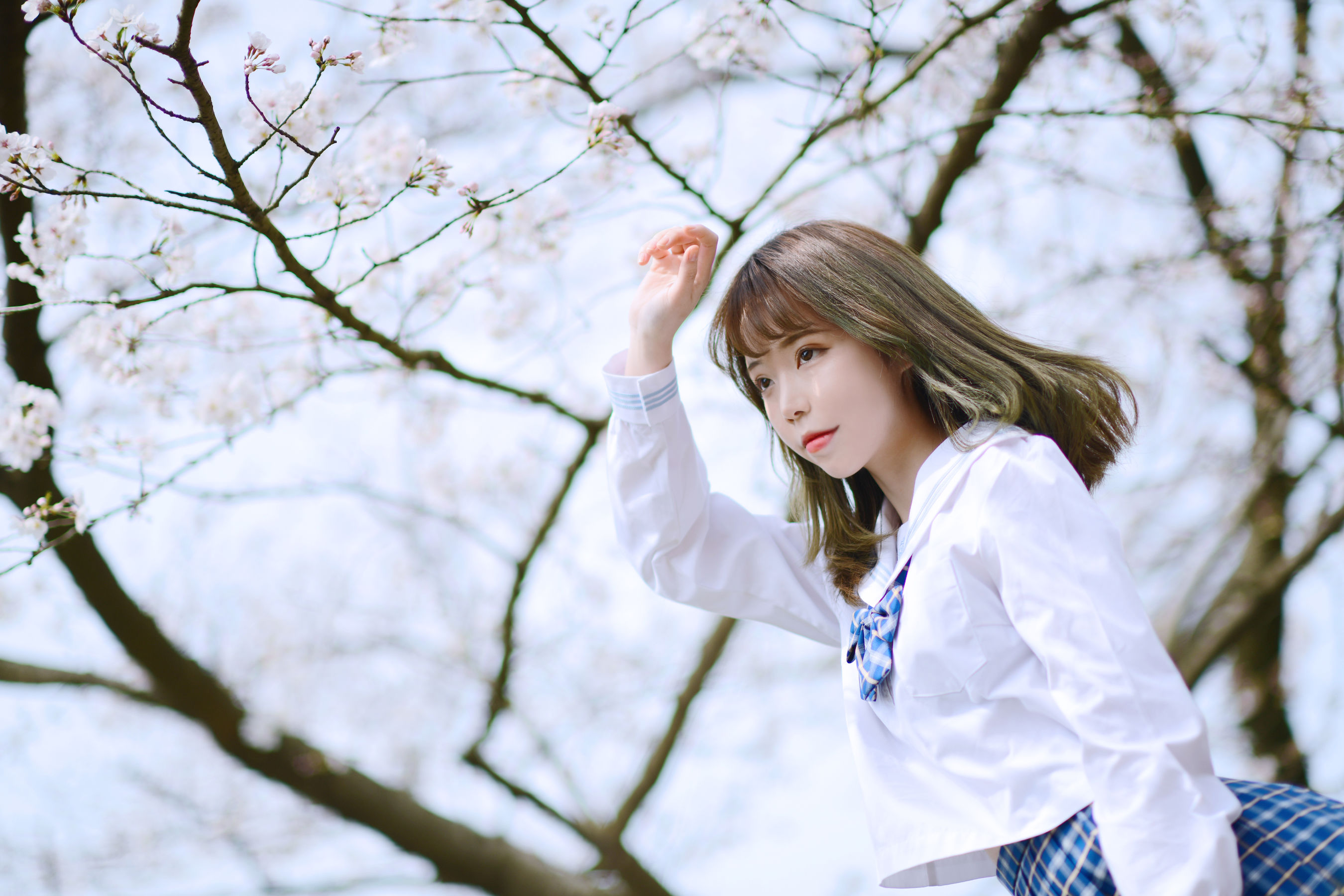 可爱妹子Fushii_海堂 – 樱花树下 Cosplay-第3张