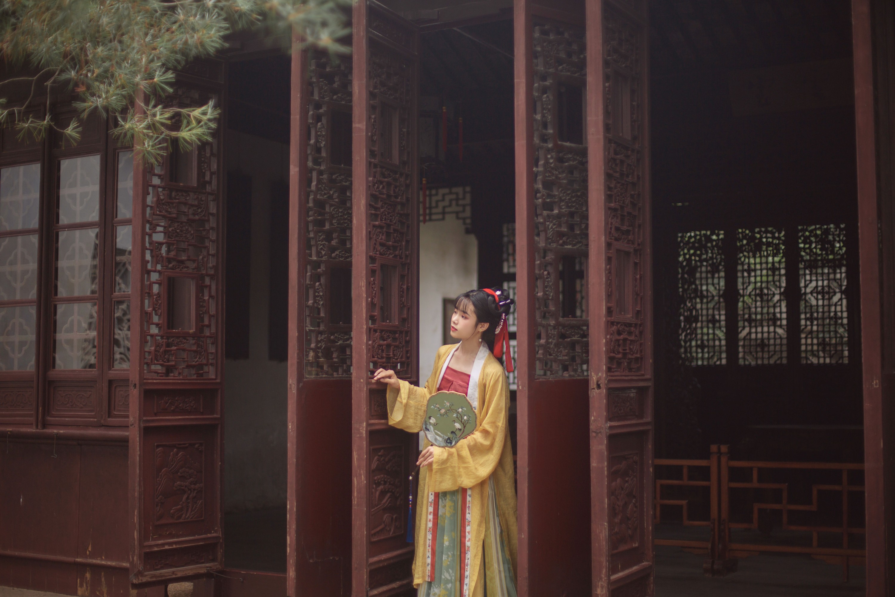 一颗蒲桃树 – 《知否知否，应是绿肥红瘦》[28P] 插图4