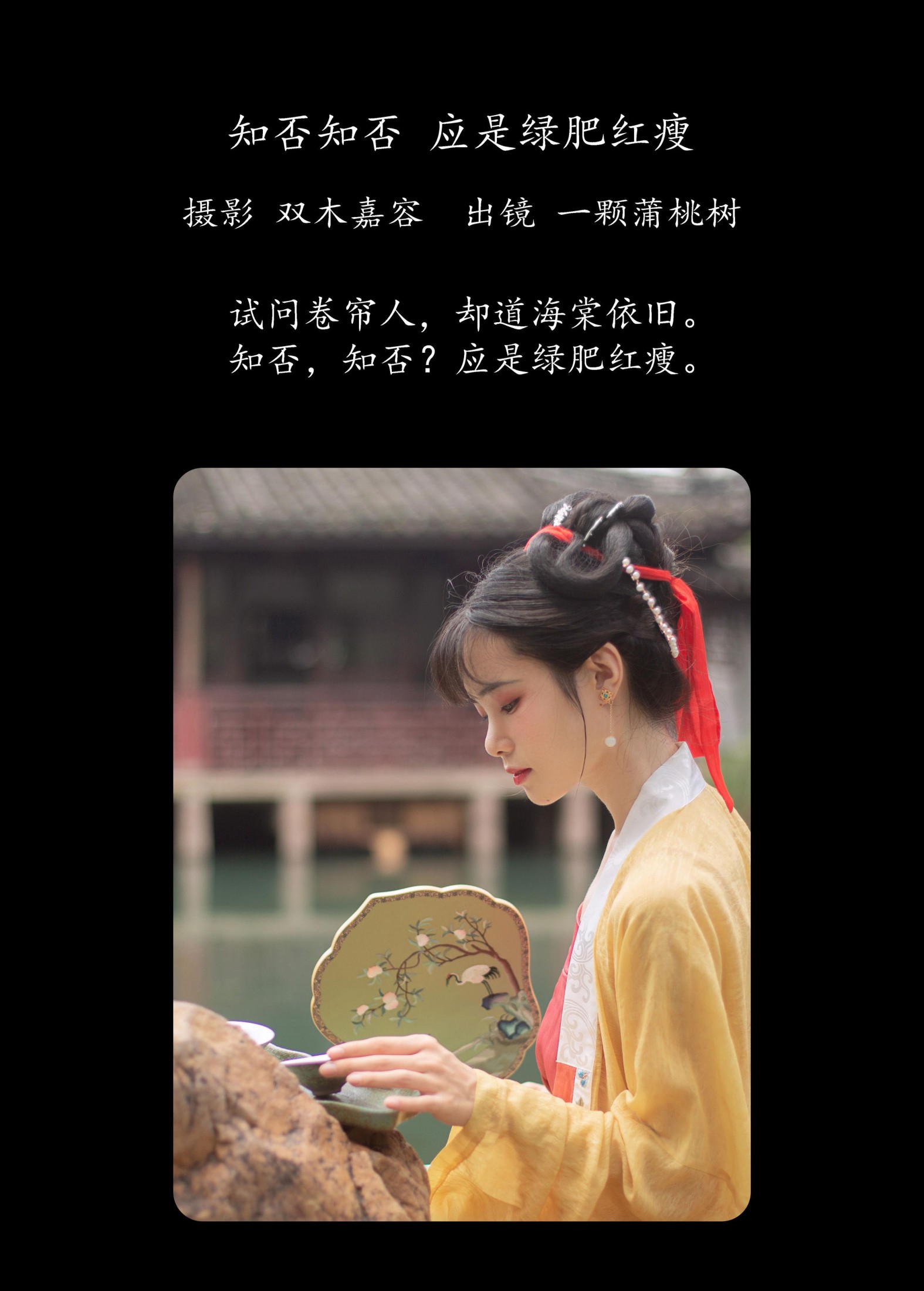 一颗蒲桃树 – 《知否知否，应是绿肥红瘦》[28P] 插图2