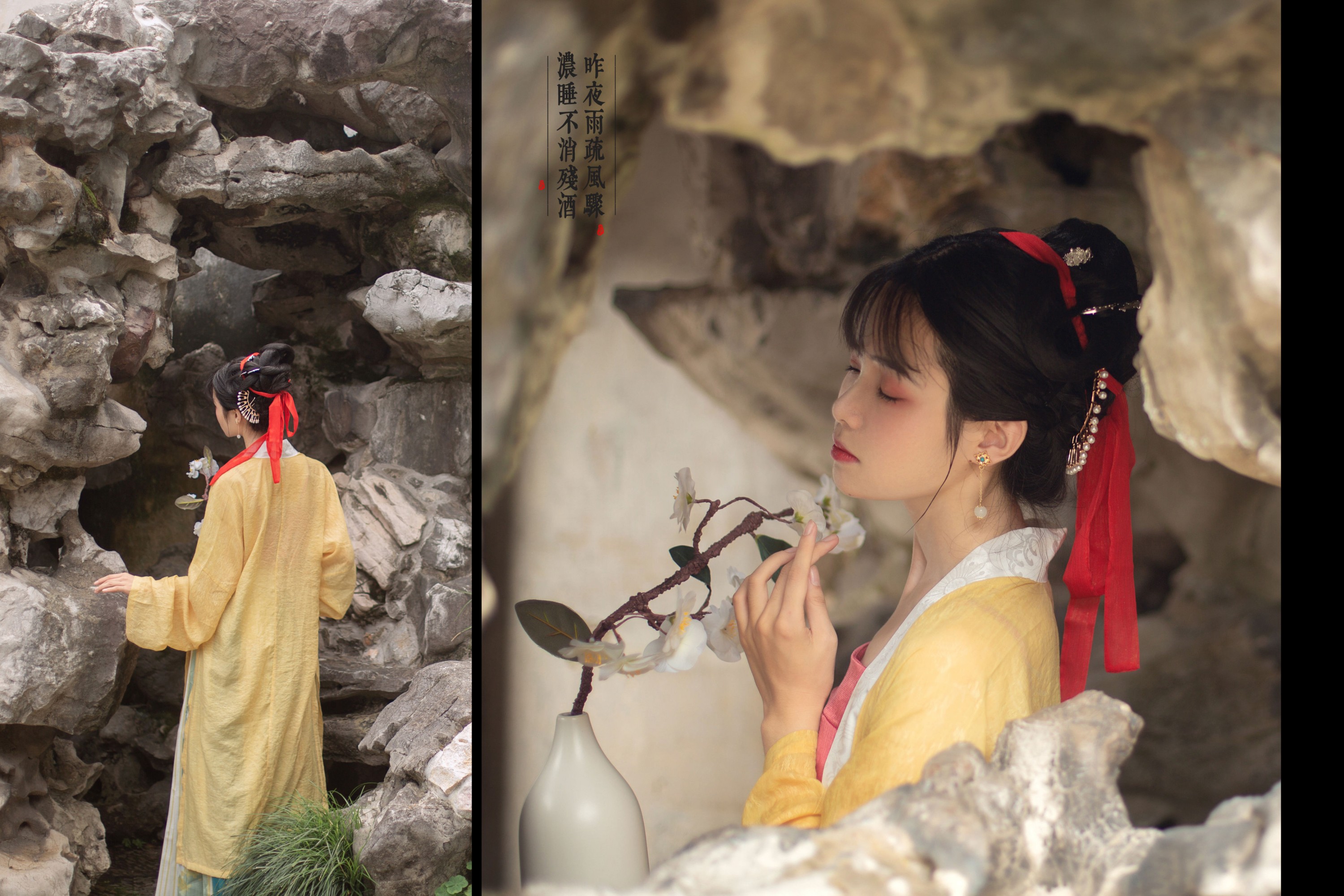一颗蒲桃树 – 《知否知否，应是绿肥红瘦》[28P] 插图5