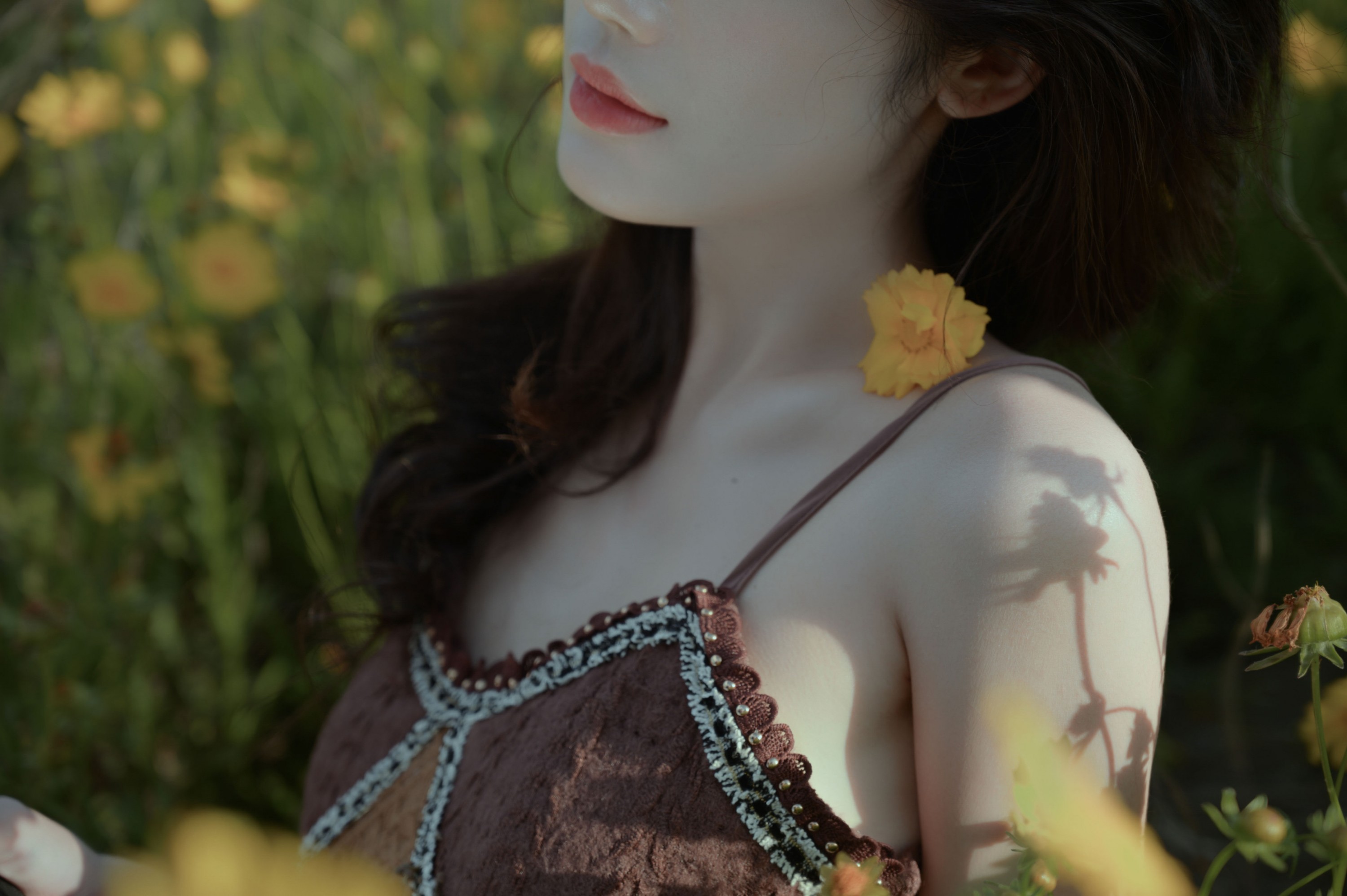  – 《大理》[15P] 插图3