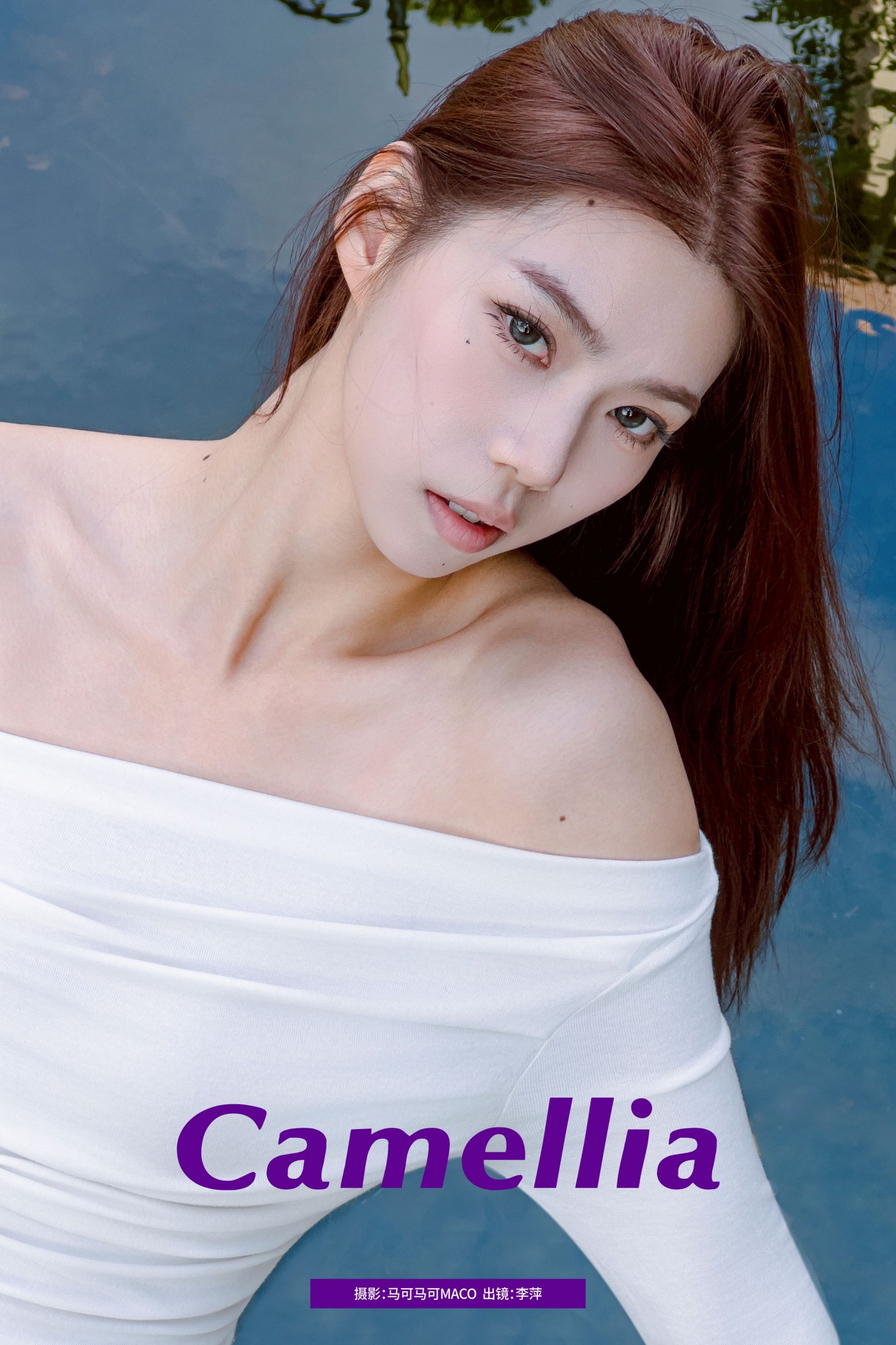 李萍 – 《Camellia》[20P] 插图1